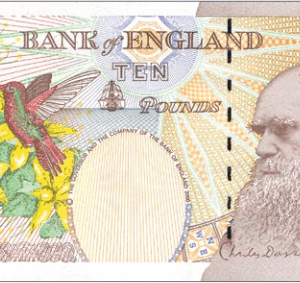 Counterfeit £10 GBP Bills
